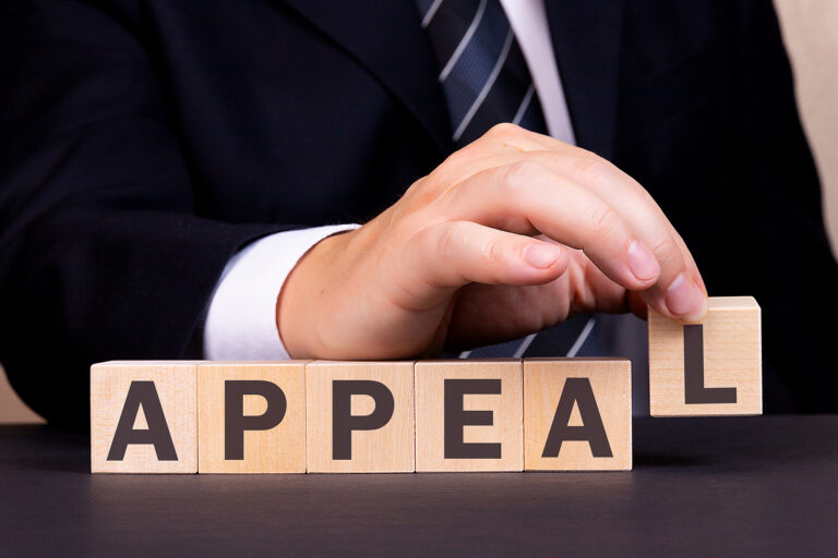 New Jersey Appellate Lawyer with wood blocks of appeal